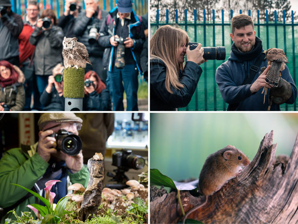 Park Cameras Wildlife Day 2019
